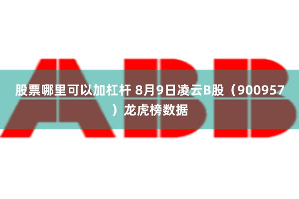 股票哪里可以加杠杆 8月9日凌云B股（900957）龙虎榜数据