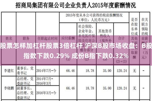 股票怎样加杠杆股票3倍杠杆 沪深B股市场收盘：B股指数下跌0.29% 成份B指下跌0.32%