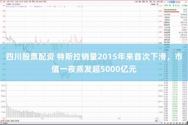 四川股票配资 特斯拉销量2015年来首次下滑，市值一夜蒸发超5000亿元